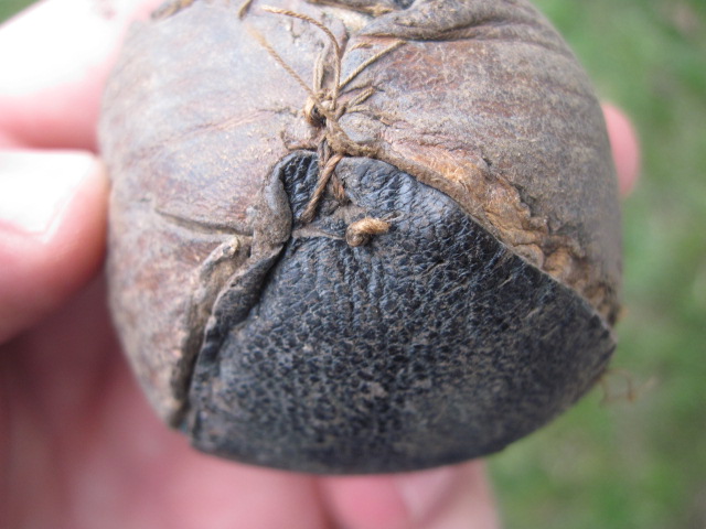 19th Century Belt Ball