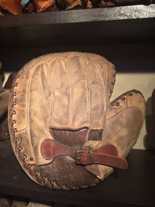 D&M Catchers Mitt Back
