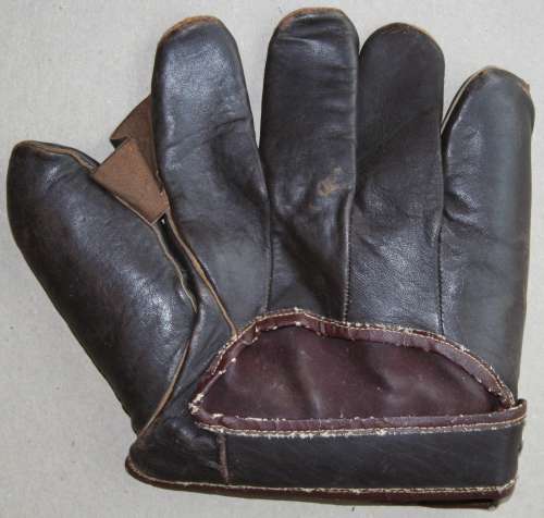 Everlast 216 1 Inch Web Back