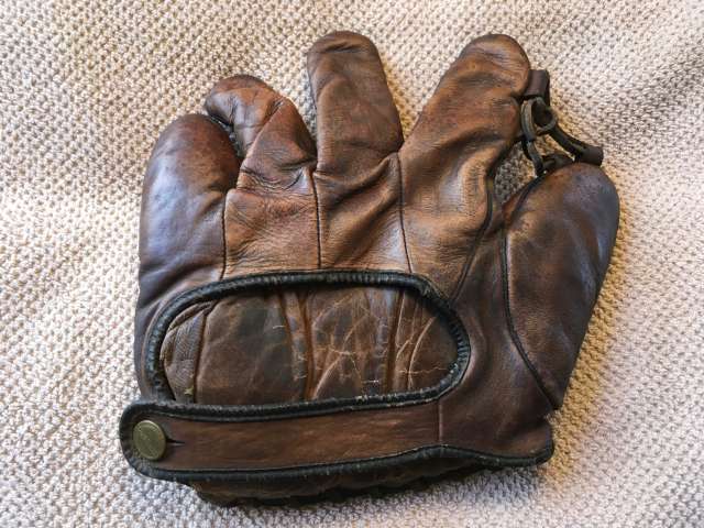 Goldsmith Bear Cub Special Back