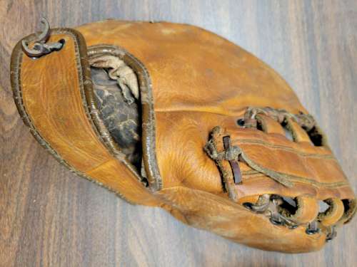 Guardian BM19 Basemitt Back