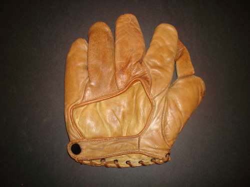 Hudson XL 1 Inch Web Back