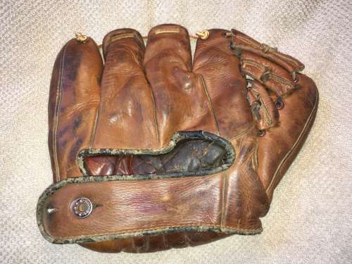 Brown Glove Back