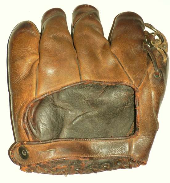 D3 Professional Model Back Other Manufacturers Baseball Glove