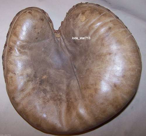 Light Catchers Mitt Front