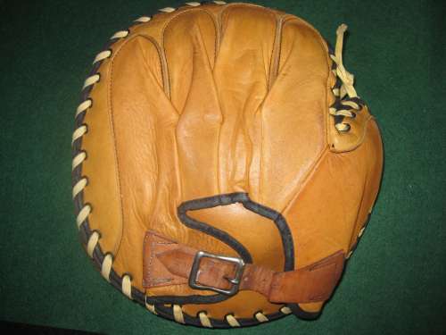 Sammy Holbrook Monarch C19 Back