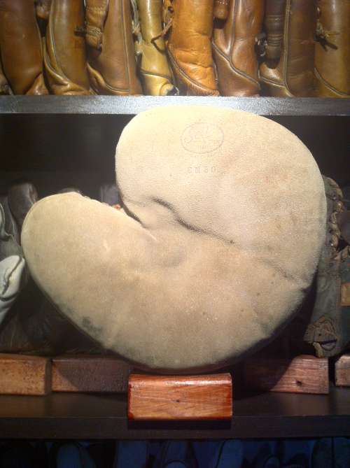 Sell CM50 Catchers Mitt Front