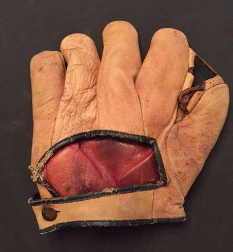 Poll Parrot Shoes Back