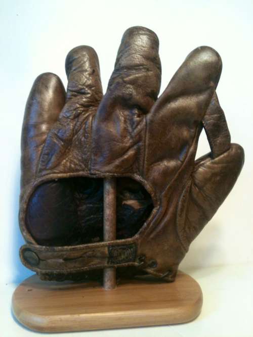 A.J. Reach Brown 1 Inch Web Back