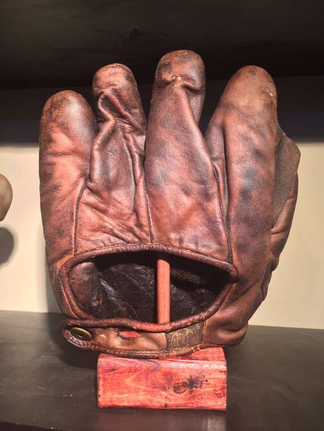 A.J. Reach Full Web Brown Back