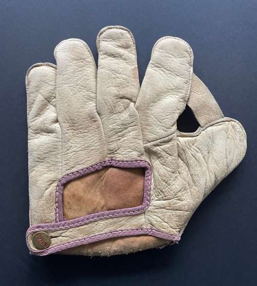 Reach 4G 1 Inch Web Back