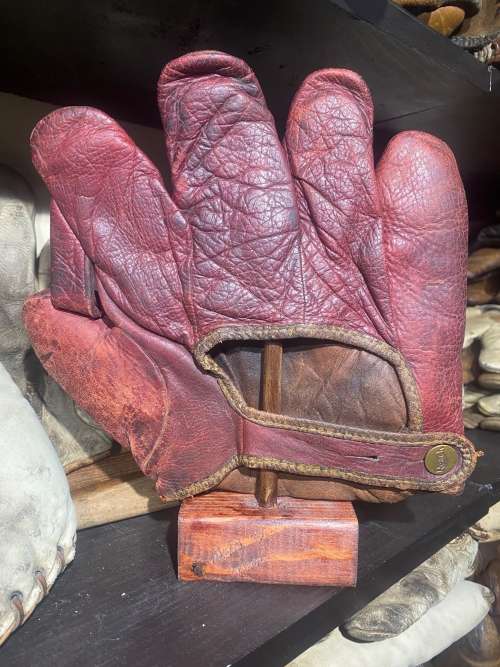 Reach Oxblood Red 1 Inch Web Back