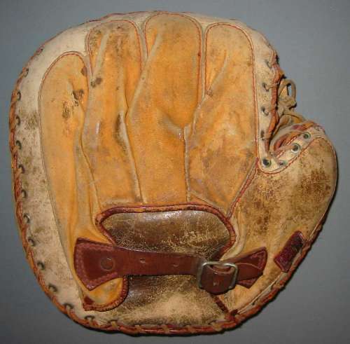 Spalding Catchers MItt Back