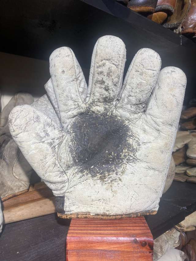 Stall & Dean Buckle Back Full Web White Front