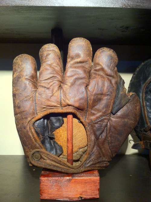 Stall & Dean Full Web Brown Back