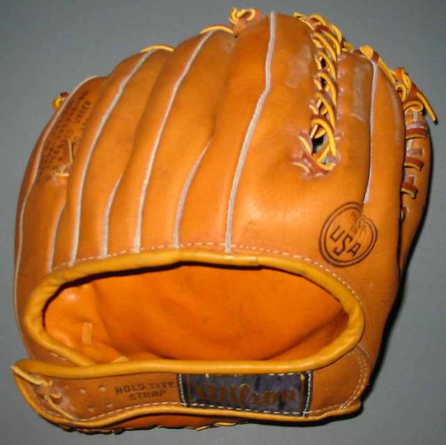 Wilson A2931 Ball Hawk Six Back