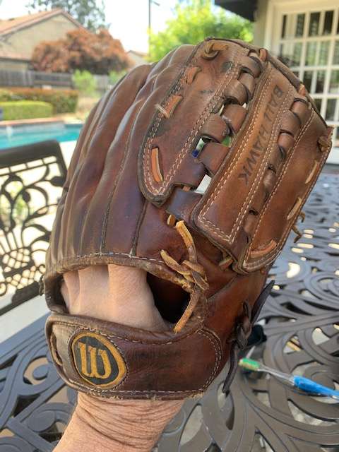 Wilson A2000 Ball Hawk Back