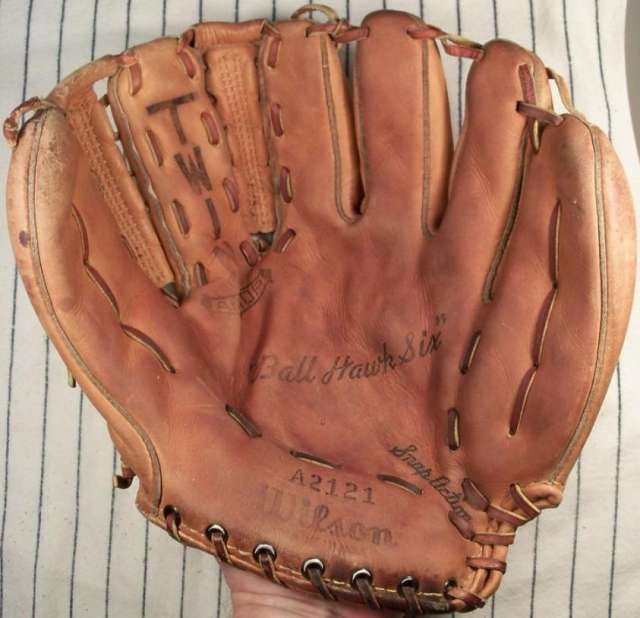 Wilson A2121 Ball Hawk Six Front